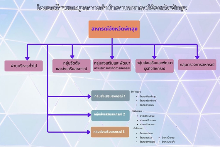 structure00 copy2569