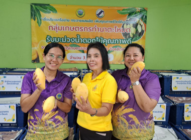 กิจกรรมจิบกาแฟแชร์มะม่วงของกลุ่มเกษตรกรทำนาตะโหมด พารามิเตอร์รูปภาพ 7