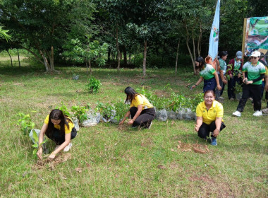 กิจกรรมโครงการปลูกป่าเฉลิมพระเกียรติราษฎรอาสาพิทักษ์ป่าบ้านป่าพงศ์ ... พารามิเตอร์รูปภาพ 6