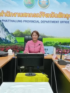 ประชุมคณะทำงานระดับจังหวัดแก้ไขปัญหาการดำเนินงานของสหกรณ์และกลุ่มเกษตรกรที่มีข้อบกพร่อง (จกบ.) ประจำปีงบประมาณ พ.ศ. 2568 ครั้งที่ 4 ... พารามิเตอร์รูปภาพ 1