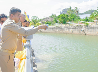 พิธีปล่อยพันธุ์สัตว์น้ำเนื่องในโอกาสวันเฉลิมพระชนมพรรษา พารามิเตอร์รูปภาพ 3