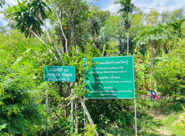 ติดตามการส่งเสริมและพัฒนาอาชีพ ... พารามิเตอร์รูปภาพ 3