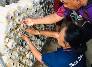 โครงการอบรมการส่งเสริมและพัฒนาอาชีพการเกษตรที่เหมาะสมกับพื้นที่ให้แก่สมาชิกสหกรณ์/กลุ่มเกษตรกรในพื้นที่ คทช.จังหวัดพัทลุง ... พารามิเตอร์รูปภาพ 4