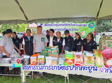 โครงการหน่วยบำบัดทุกข์ บำรุงสุข สร้างรอยยิ้มให้ประชาชน ... พารามิเตอร์รูปภาพ 4