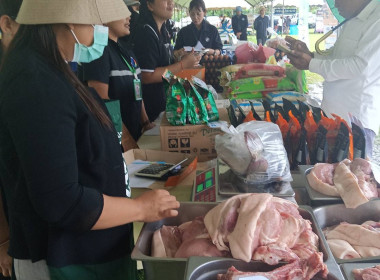 โครงการหน่วยบำบัดทุกข์ บำรุงสุข สร้างรอยยิ้มให้ประชาชน ... พารามิเตอร์รูปภาพ 11