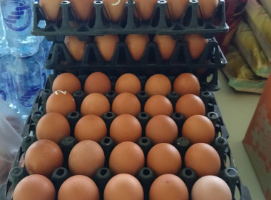 โครงการหน่วยบำบัดทุกข์ บำรุงสุข สร้างรอยยิ้มให้ประชาชน ... พารามิเตอร์รูปภาพ 13