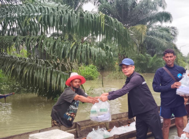 เปิดโรงครัวทำข้าวกล่องเพื่อนำไปแจกให้กับผู้ประสบอุทกภัยในพื้นที่ คทช. ... พารามิเตอร์รูปภาพ 3