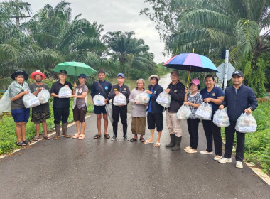 เปิดโรงครัวทำข้าวกล่องเพื่อนำไปแจกให้กับผู้ประสบอุทกภัยในพื้นที่ คทช. ... พารามิเตอร์รูปภาพ 4