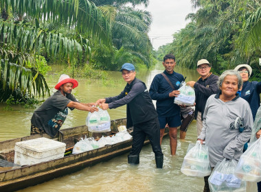 เปิดโรงครัวทำข้าวกล่องเพื่อนำไปแจกให้กับผู้ประสบอุทกภัยในพื้นที่ คทช. ... พารามิเตอร์รูปภาพ 7