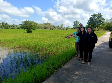 ติดตามการใช้เงินกู้กองทุนสงเคราะห์เกษตรกร พารามิเตอร์รูปภาพ 4