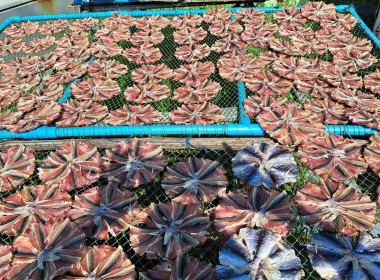 ประชุมการจัดทำเวทีแผนพัฒนาการเกษตรระดับหมู่บ้าน ... พารามิเตอร์รูปภาพ 6