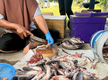 ประชุมการจัดทำเวทีแผนพัฒนาการเกษตรระดับหมู่บ้าน ... พารามิเตอร์รูปภาพ 11