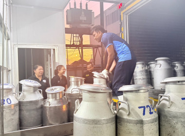 ตรวจสอบปริมาณน้ำนมโคและประชากรโคนมทั้งระบบวันที่1 พารามิเตอร์รูปภาพ 11