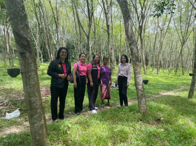 ตรวจสอบการใช้เงินกู้กองทุนพัฒนาสหกรณ์ ณ ... พารามิเตอร์รูปภาพ 1