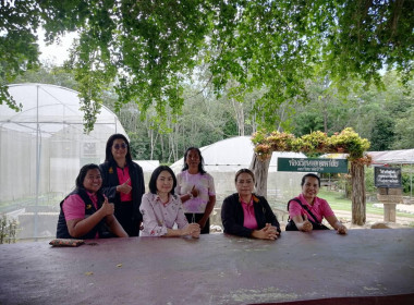 ตรวจสอบการใช้เงินกู้กองทุนพัฒนาสหกรณ์ ณ ... พารามิเตอร์รูปภาพ 1