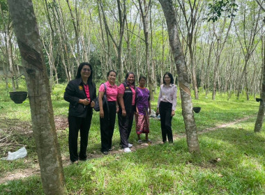 ตรวจสอบการใช้เงินกู้กองทุนพัฒนาสหกรณ์ ณ ... พารามิเตอร์รูปภาพ 2