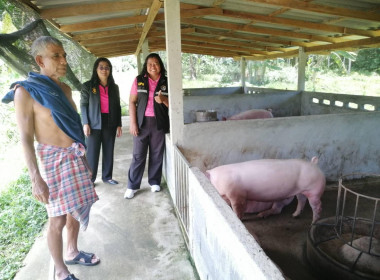 ตรวจสอบการใช้เงินกู้กองทุนพัฒนาสหกรณ์ ณ ... พารามิเตอร์รูปภาพ 3