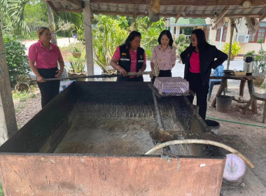 ตรวจสอบการใช้เงินกู้กองทุนพัฒนาสหกรณ์ ณ ... พารามิเตอร์รูปภาพ 4