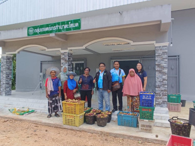 ลงพื้นที่ติดตามการรวบรวมมังคุดของสมาชิกกลุ่มเกษตรทำนาตะโหมด พารามิเตอร์รูปภาพ 1