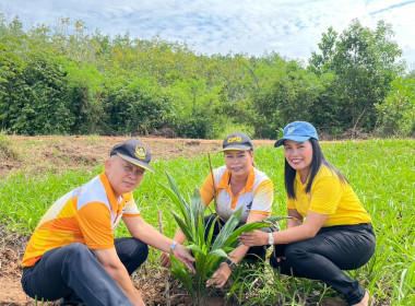 สหกรณ์จังหวัดพัทลุง ... พารามิเตอร์รูปภาพ 8