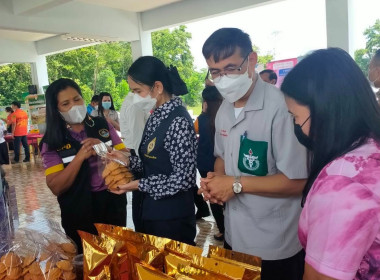 จัดนิทรรศการโครงการหน่วยบำบัดทุกข์ บำรุงสุข ... พารามิเตอร์รูปภาพ 4