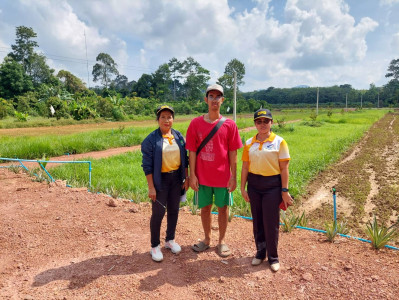 ลงพื้นที่ตรวจสอบคุณสมบัติเกี่ยวกับข้อมูลการประกอบอาชีพเกษตร พารามิเตอร์รูปภาพ 1