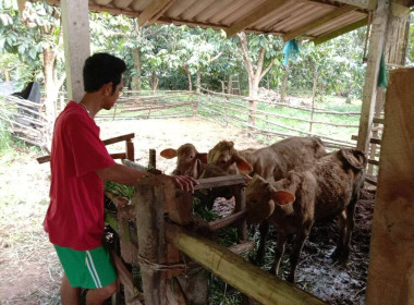 ลงพื้นที่ตรวจสอบคุณสมบัติเกี่ยวกับข้อมูลการประกอบอาชีพเกษตร พารามิเตอร์รูปภาพ 2